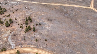 403 Jasper Way, Hartsel, CO 80449 - photo 4