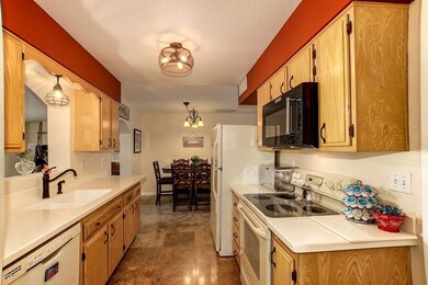 10528 W Caron Dr, Sun City, AZ 85351 - photo 7