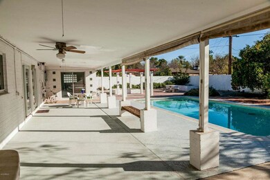 Back Patio
