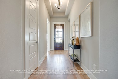 272 Sparkling Springs Dr, Waxahachie, TX 75165 - photo 4