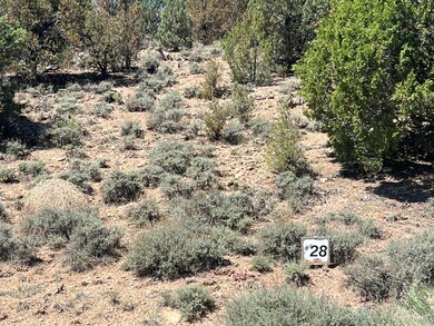 IMG_5530