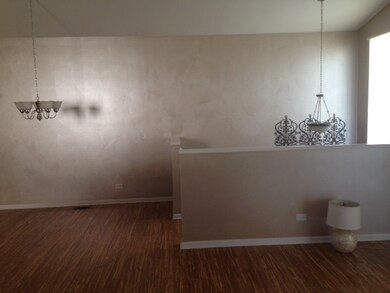 1002 Celebration Dr, Aurora, IL 60504 - photo 6