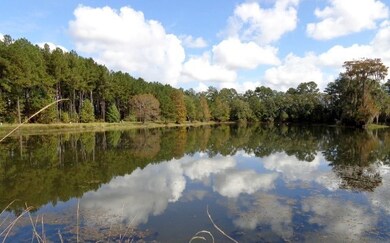 304 Waterside Dr, Quitman, GA 31643 - photo 2