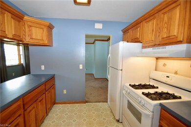 366 Erieview Blvd, Sheffield Lake, OH 44054 - photo 4