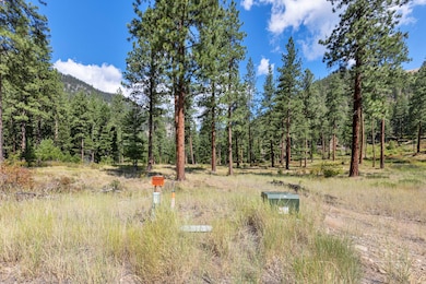 13902 Highland Trail, Alberton, MT 59820 - photo 5