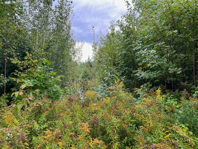 IMG_0589