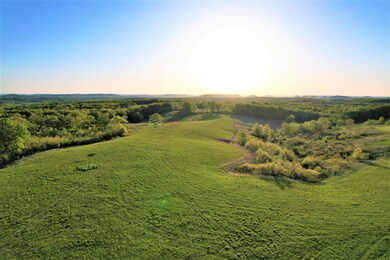 DJI_0155