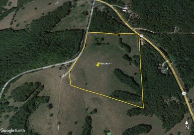 000 Farm Road 2080, Jenkins Township, MO - photo 7