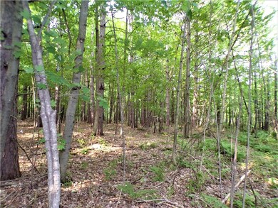 11.3 Acres on Walrath Rd, Lawrence, WI 54526 - photo 6