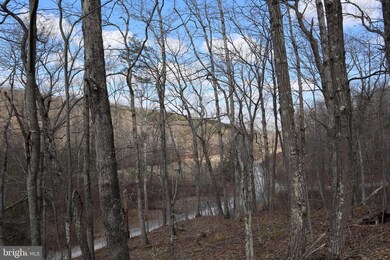 2023 Posey Hollow Rd, Berkeley Springs, WV 25411 - photo 6