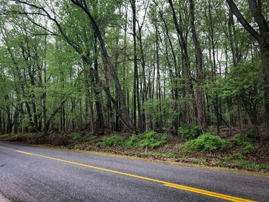 River Rd image