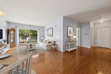 965 Rogers St unit 202, Downers Grove, IL 60515 - photo 3