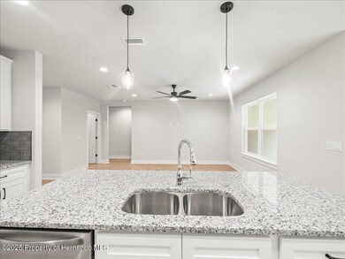 14438 Chimney Swift Rd, Weeki Wachee, FL 34614 - photo 5