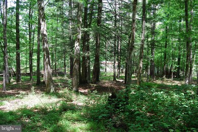 Lot 13 Pleasant Dale Ln, Great Cacapon, WV 25422 - photo 6