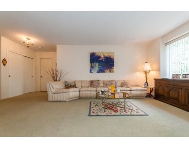 Hammond Park Condominiums unit 405, Chestnut Hill, MA 02467 - photo 3