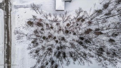 1958 Laurie Meadows Dr, Wasilla, AK 99654 - photo 3