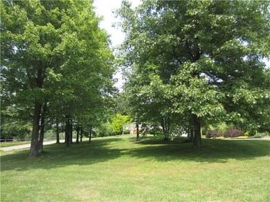 Yard/Garden. beautiful front yard with mature tree