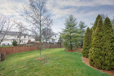 Fenced Yard