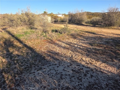 0 Everett Rd unit SW25273719, Anza, CA 92539 - photo 3