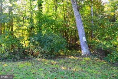 45265 F Birch Ln, California, MD 20619 - photo 4