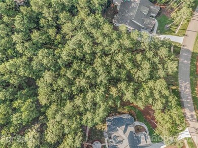 Plenty of foliage to keep privacy