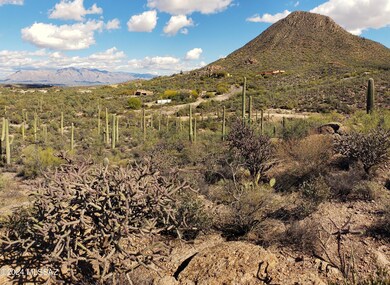 650BLK N Camino de Oeste unit Lot C, Tucson, AZ 85745 - photo 3