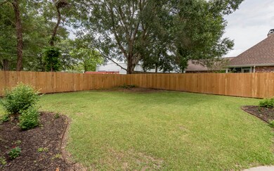 Back Yard 1