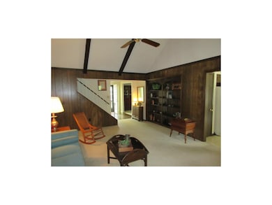 Wall of built-ins offers plenty of room to display