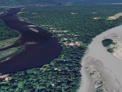 TBD No Name Rd, Trapper Creek, AK 99683 - photo 7