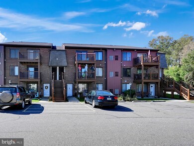 Altemus Farms unit D1, Brookhaven, PA 19015 - photo 4