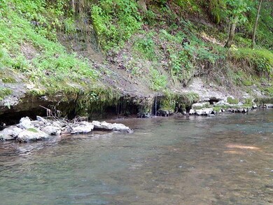 Spring water running out of the rock bluffs into the creek