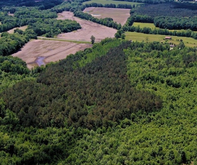 + - 69 Acres unit Calhoun County MS, Bruce, MS 38915 - photo 7