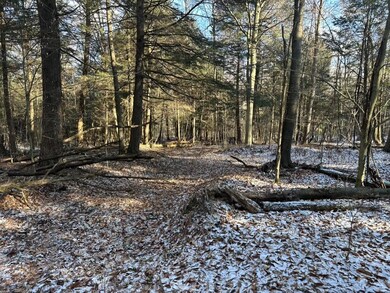 0 3rd St, Burnside, PA 15724 - photo 6