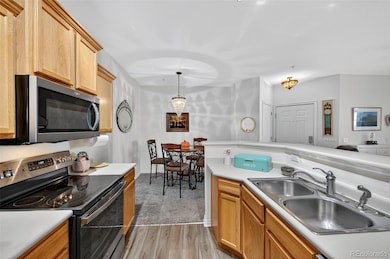 18611 Stroh Rd unit 5203, Parker, CO 80134 - photo 5