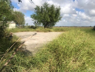 000 Tazz St, Donna, TX 78537 - photo 2