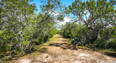 000 Cr 342, Beeville, TX 78102 - photo 5