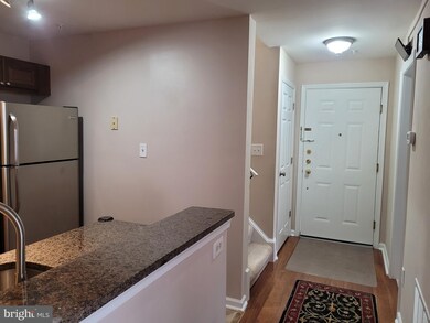 4 Tyler Falls Ct unit A, Baltimore, MD 21209 - photo 6