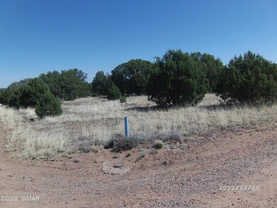 vacant-land-for-sale-white-mountain-lake