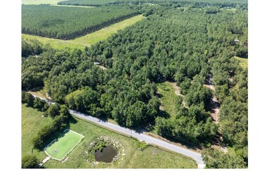 TBD 216th St, O'Brien, FL 32071 - photo 4