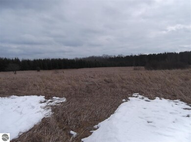 00 Galion Rd, Hale, MI 48739 - photo 3