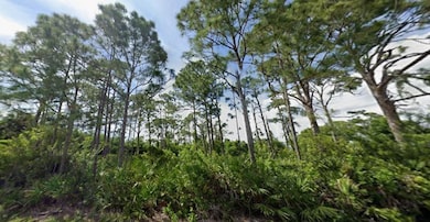 5249 Wynn Terrace, Gulf Cove, FL 33981 - photo 4