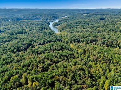 00 County Highway 27 unit 6, Oneonta, AL 35121 - photo 3