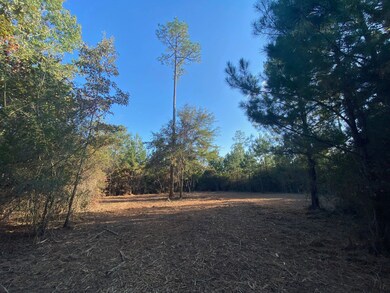 County Road 2- Covington County unit AL, Wing, AL 36483 - photo 5