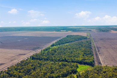 TBD County Road 264, Cameron, TX 76520 - photo 5