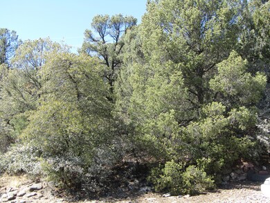 1112 N Yodel Cir, Payson, AZ 85541 - photo 5