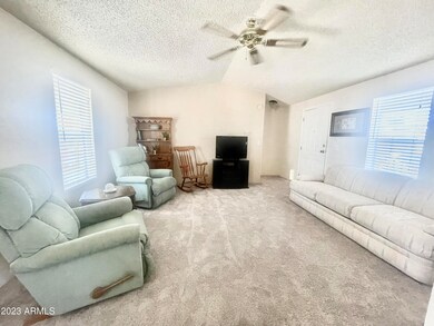 18NEWCARPETLIVING