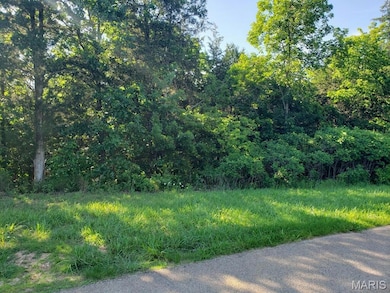 3512 Buttermilk Dr, Valle Township, MO 63028 - photo 7