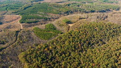 0 Old Highway 18 unit RTC2588368, Stewart, TN 37175 - photo 4