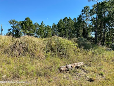 2739 Haberland Ave SE, Palm Bay, FL 32909 - photo 2