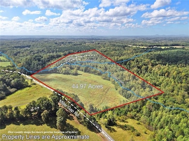 x Miller Gap Rd unit 44 Ac, Ararat, NC 27007 - photo 2